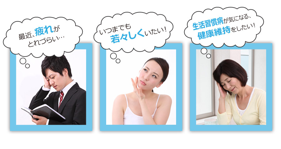 画像の説明 画像の説明