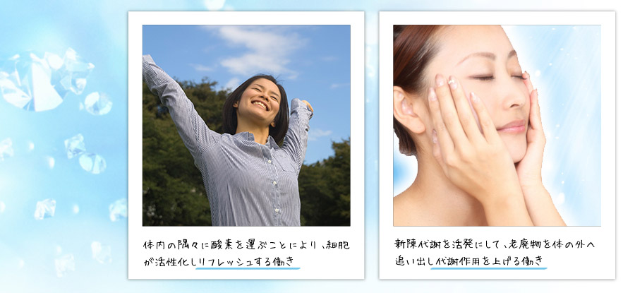 画像の説明 画像の説明