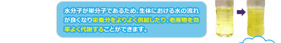 画像の説明 画像の説明